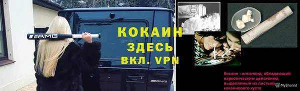 сатива Магас