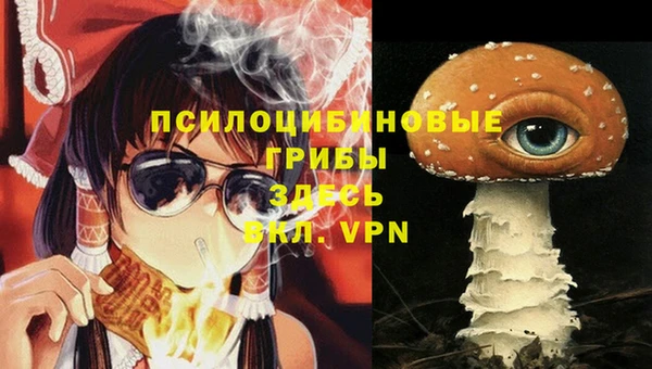 сатива Магас
