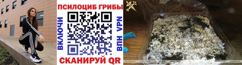 Купить закладки  Новодвинск  Псилоцибиновые грибы Magic Shrooms 